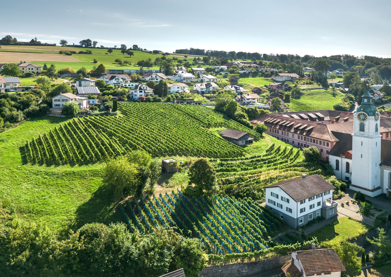 Brunner weinmanufaktur fotografie referenz homm interactive luzern 17