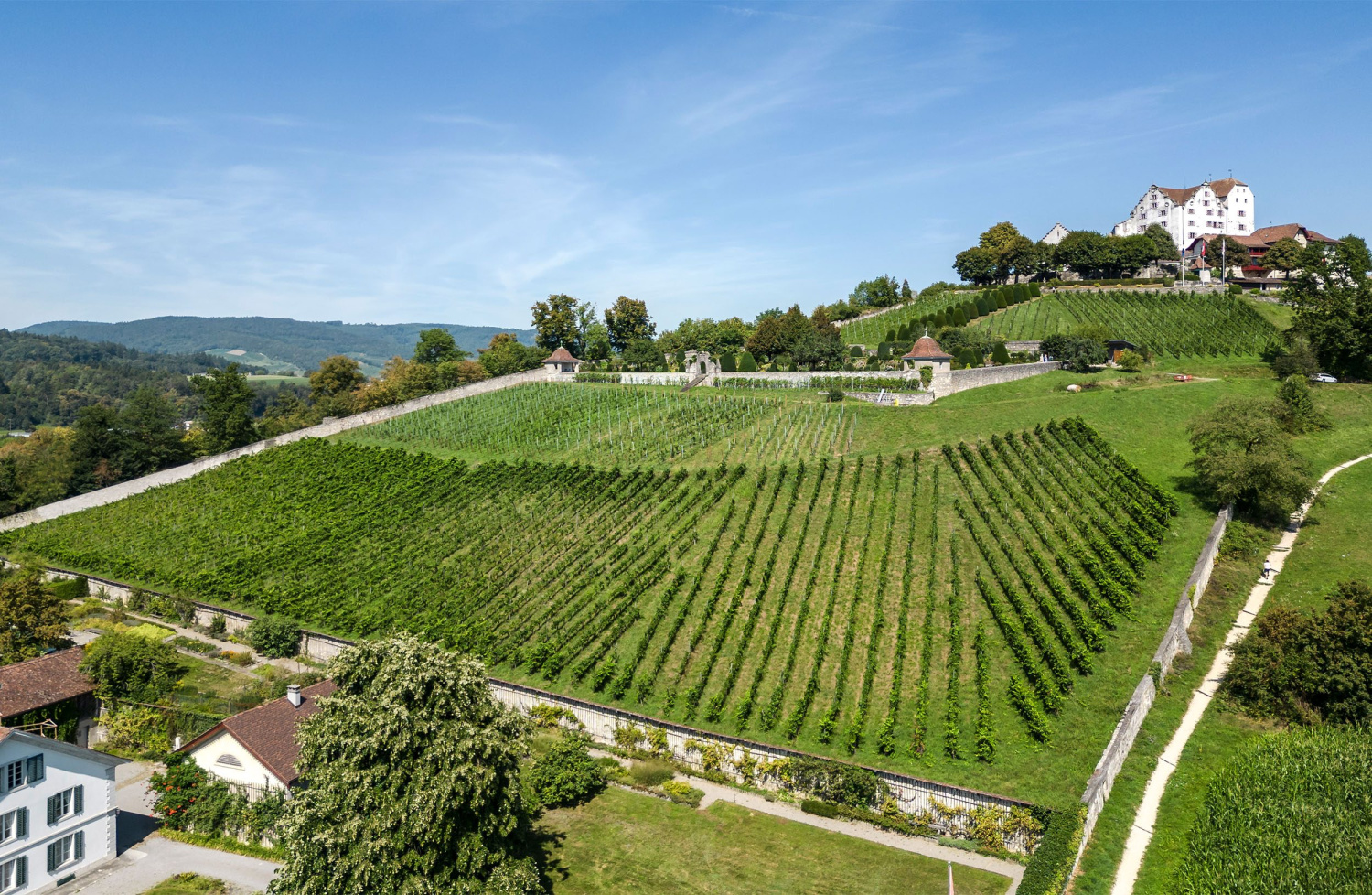 Brunner weinmanufaktur fotografie referenz homm interactive luzern 19