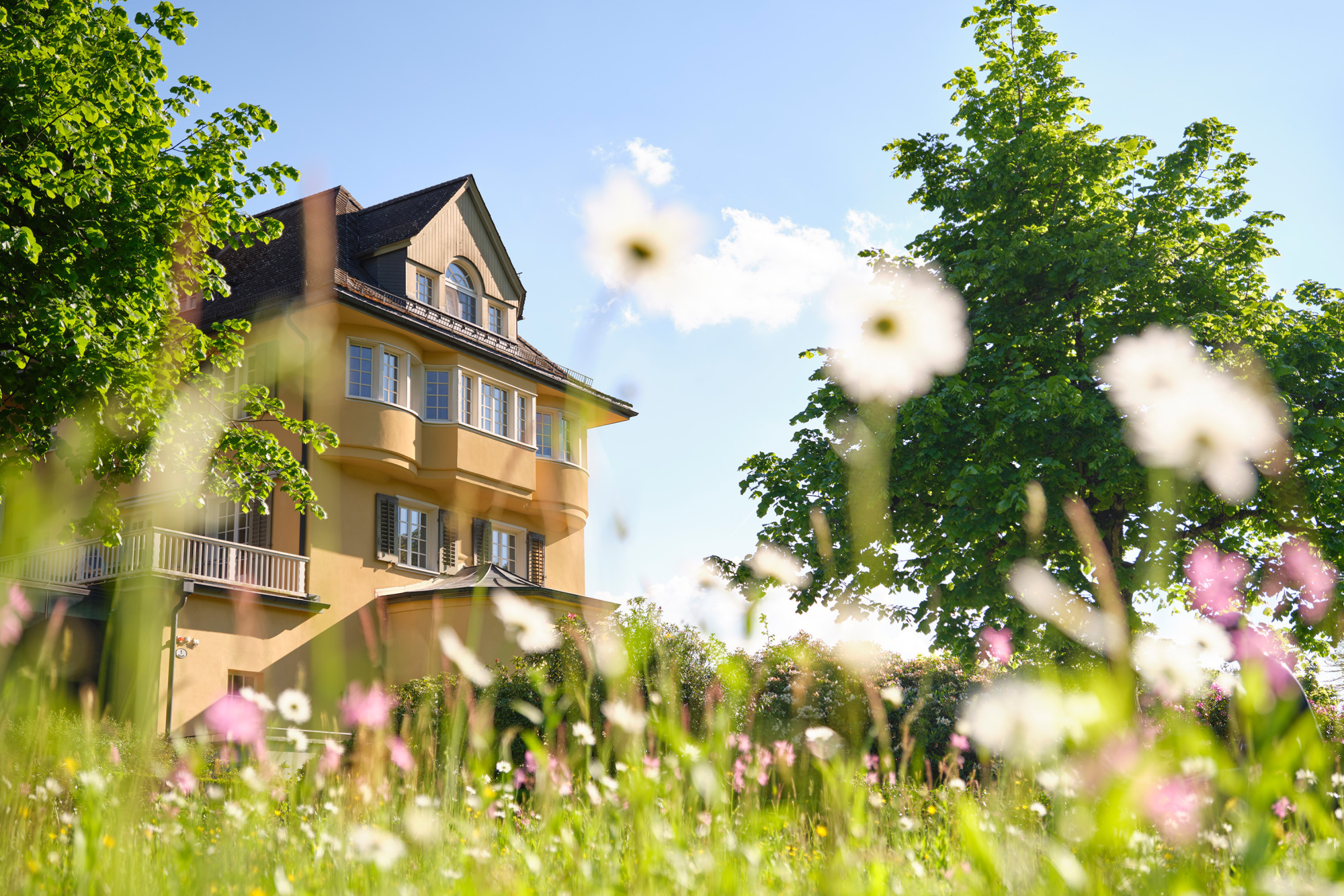 Sonnmatt luzern referenzen fotografie homm interactive webagentur luzern 11